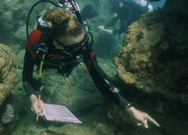 Research & Scientific Diving